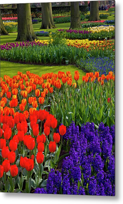 Flowerbed Metal Print featuring the photograph Keukenhof Gardens In Holland by Darrell Gulin