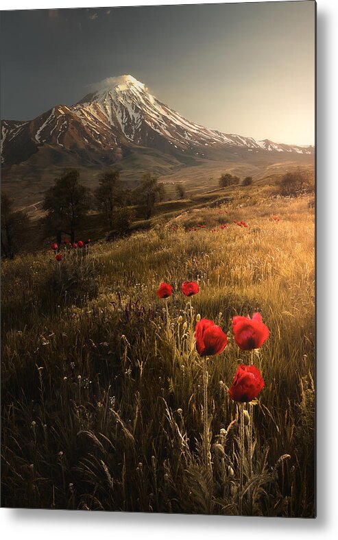 Damavand Metal Print featuring the photograph Life Is Beautiful by Majid Behzad
