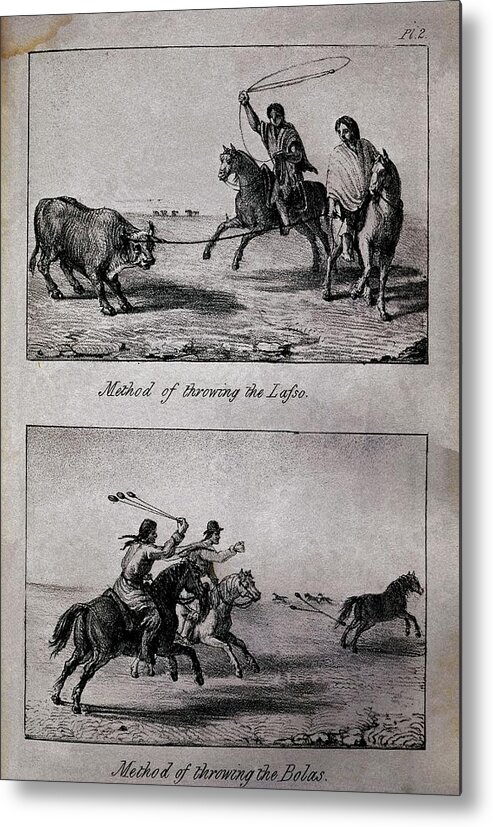 Methods Of Throwing The Lasso And The Bolas Metal Print featuring the drawing Methods of Throwing the Lasso and the Bolas, from 'Travels in Chile and La Plata' - 1826. by Miers John