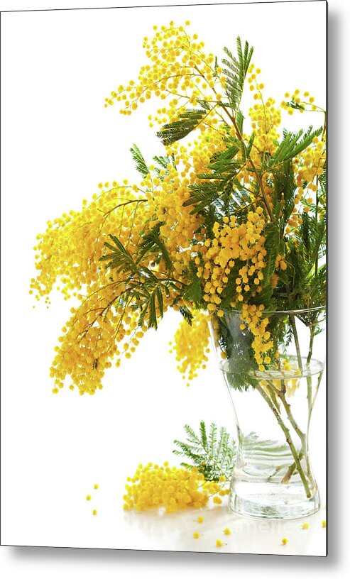 Home Decor Metal Print featuring the photograph Mimosa by Sarsmis