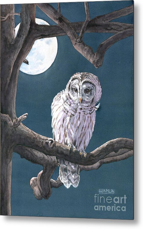 Bird Metal Print featuring the painting Night Watch - Barred Owl by Steve Hamlin