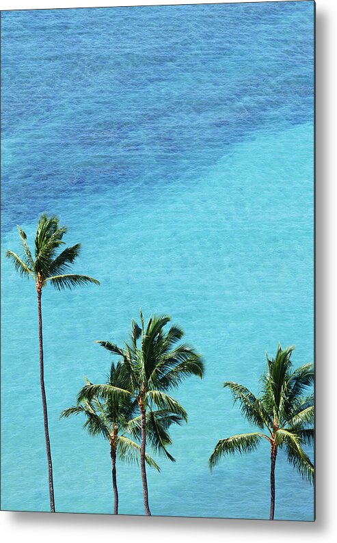 Tropical Tree Metal Print featuring the photograph Palm Trees And Surface Of The Sea by Imagenavi