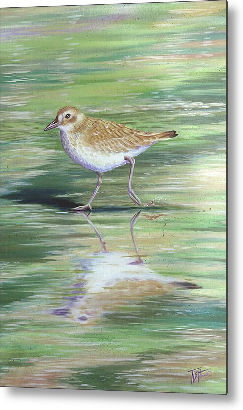 Plover Metal Print featuring the painting Plover Reflections by Tish Wynne