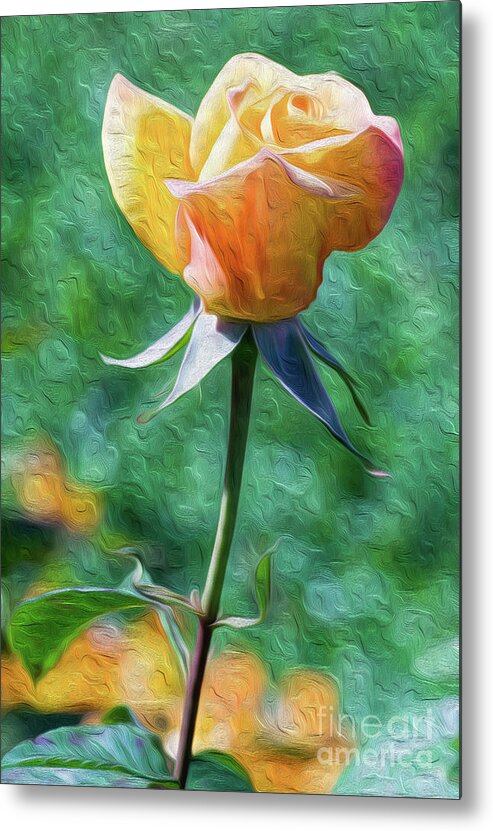 Flower Metal Print featuring the digital art Rose Prominence II by Kenneth Montgomery