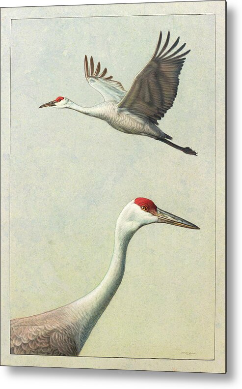 Crane Metal Print featuring the painting Sandhill Cranes by James W Johnson