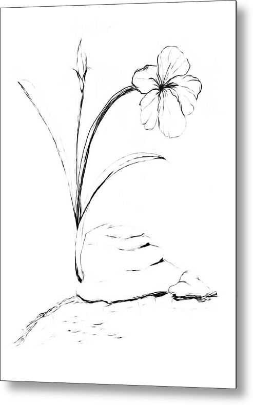 Sea Side Metal Print featuring the drawing Sea Side Wild Flower PAINT MY SKETCH by Delynn Addams
