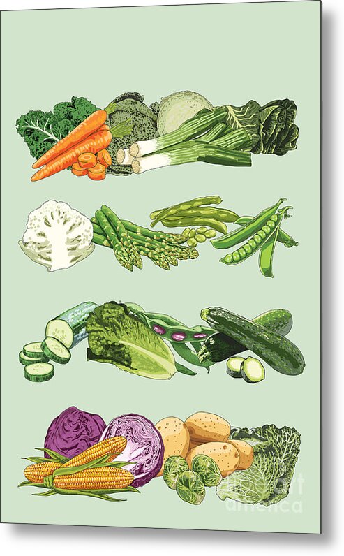 Veg Metal Print featuring the painting Seasonal Vegetables In The Uk by Claire Huntley