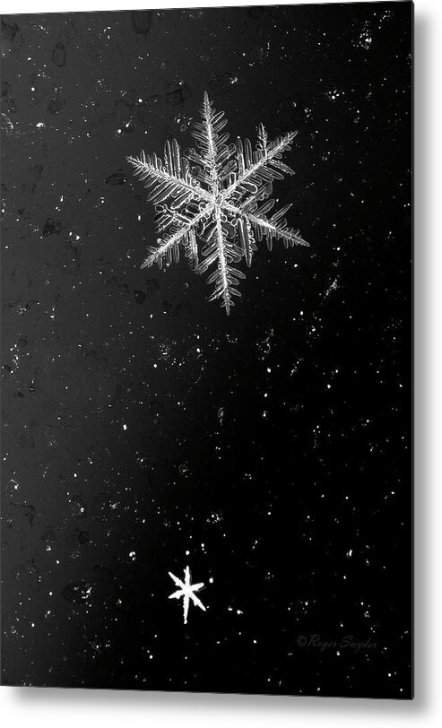 Snow Metal Print featuring the photograph Snow Flakes 5 bw by Roger Snyder