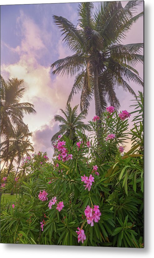 Sunrise Metal Print featuring the photograph Sunrise in the Palms by Darren White