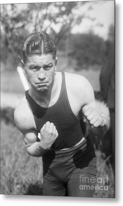 Fist Metal Print featuring the photograph Tommy Burns Waist Up In Fighting Pose by Bettmann