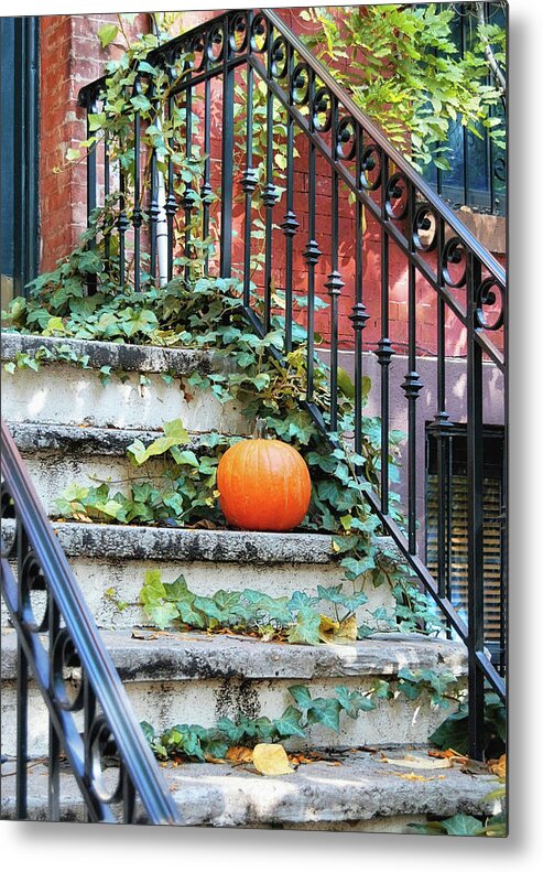 All Metal Print featuring the photograph Urban Fall by JAMART Photography