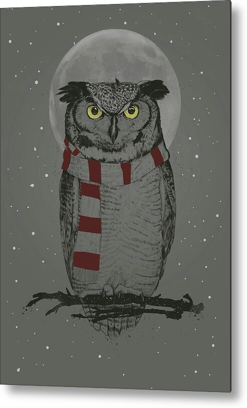 Owl Metal Print featuring the mixed media Winter owl by Balazs Solti