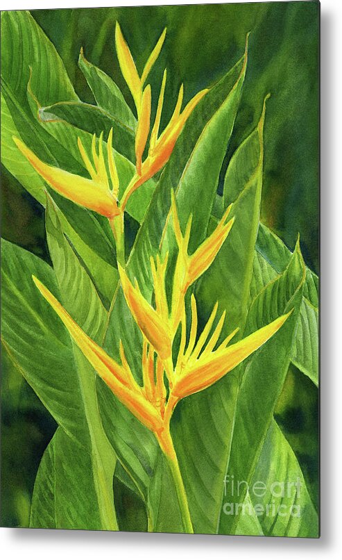 Tropical Flower Metal Print featuring the painting Yellow Orange Heliconia with Leaves by Sharon Freeman
