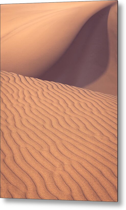 Sand Dunes Metal Print featuring the photograph Sand Dune with Movement by Peter Boehringer