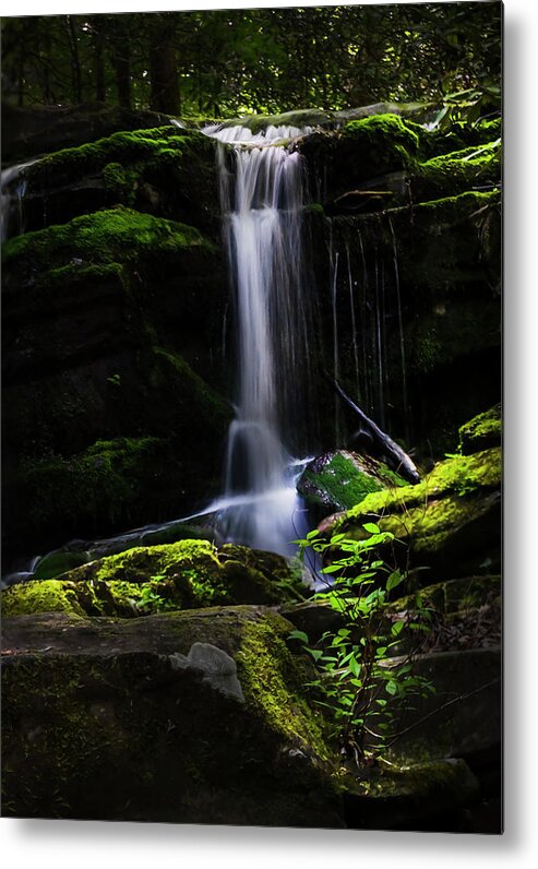 Smoky Mountains Metal Print featuring the photograph Smoky Mountains Spring Water #1 by Theresa D Williams