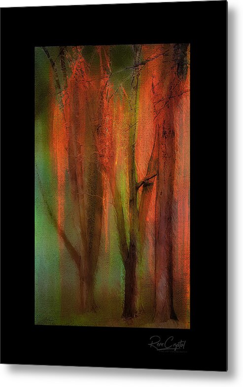 Trees Metal Print featuring the photograph 3 Park Guards by Rene Crystal