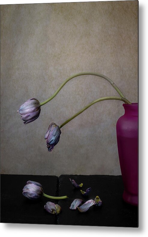 Still Life Metal Print featuring the photograph The aborted spring of 2020 in color 2 by Alessandra RC