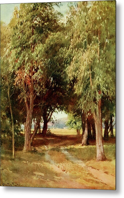 Eucalyptus Metal Print featuring the painting A Eucalyptus Grove, California 1914 by Sutton Palmer