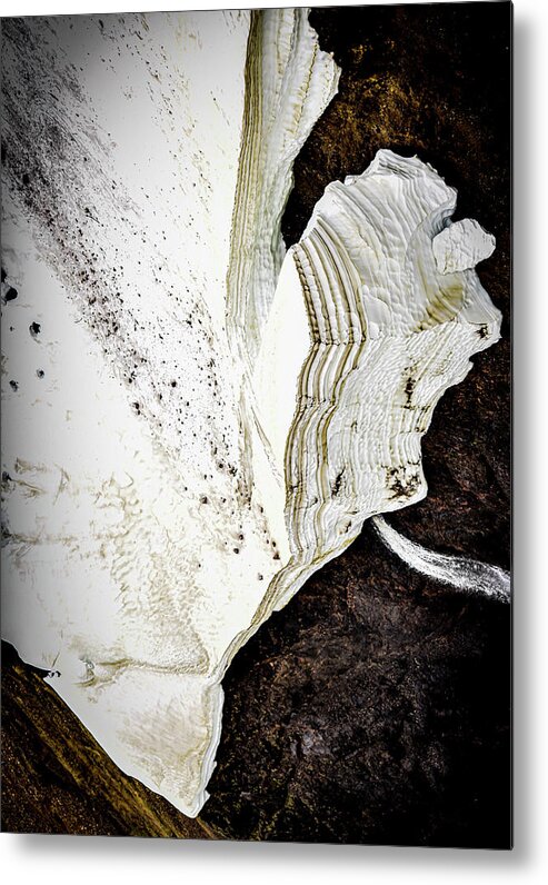 Vertical Metal Print featuring the photograph Abstract Yellowstone Photography 20180519-107 by Rowan Lyford