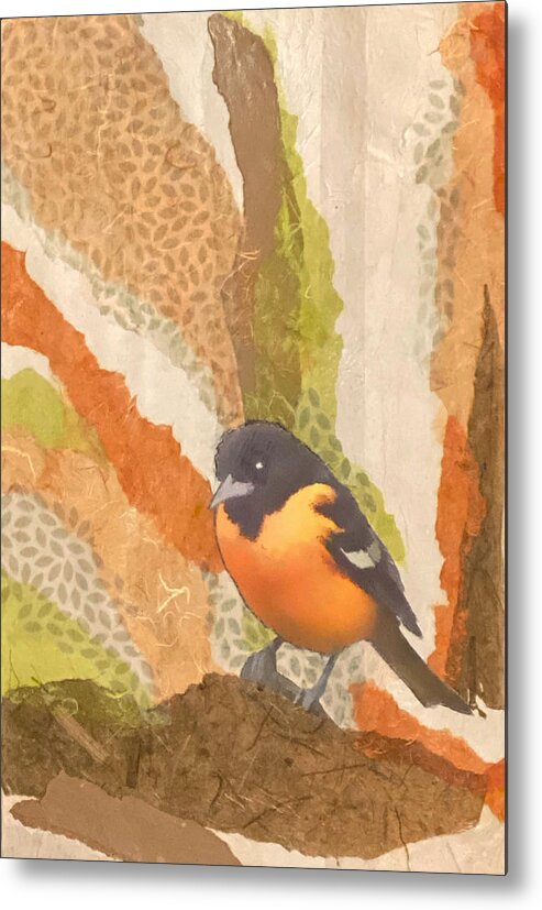 Bird Metal Print featuring the mixed media Balltimore Oriole Collage by Jessica Levant