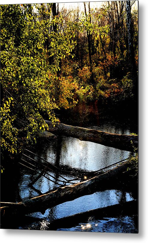 Tranquil Metal Print featuring the photograph Broad Run Autumn No. 1 by Steve Ember