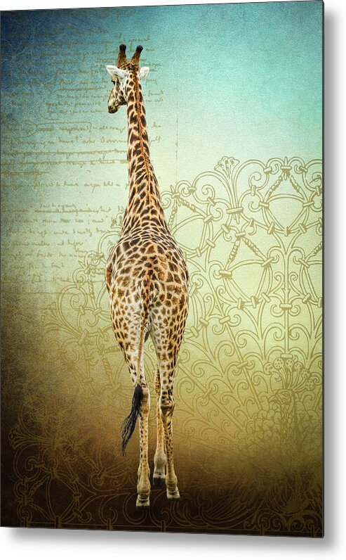 Giraffe Metal Print featuring the photograph Bull Giraffe by Rebecca Herranen