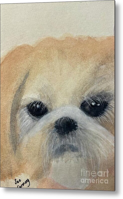 Pet Metal Print featuring the painting Chloe by Sue Carmony