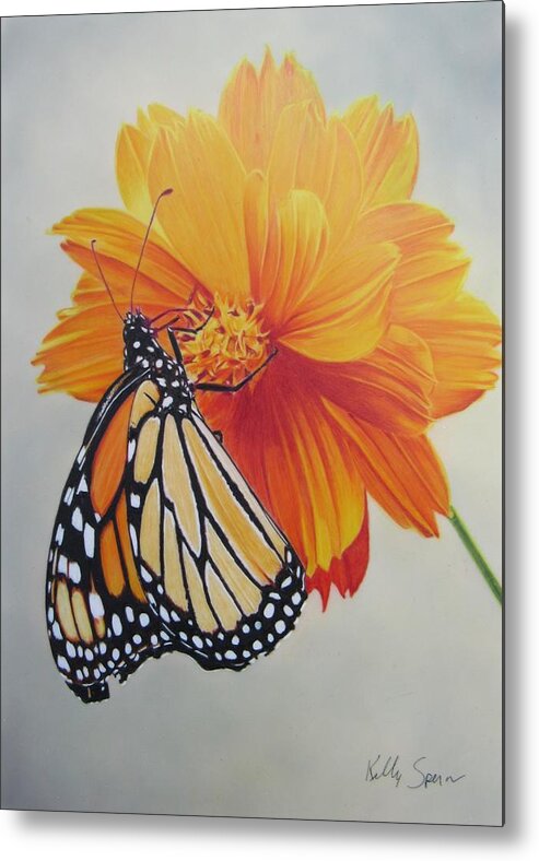 Monarch Metal Print featuring the drawing Climb Every Flower by Kelly Speros