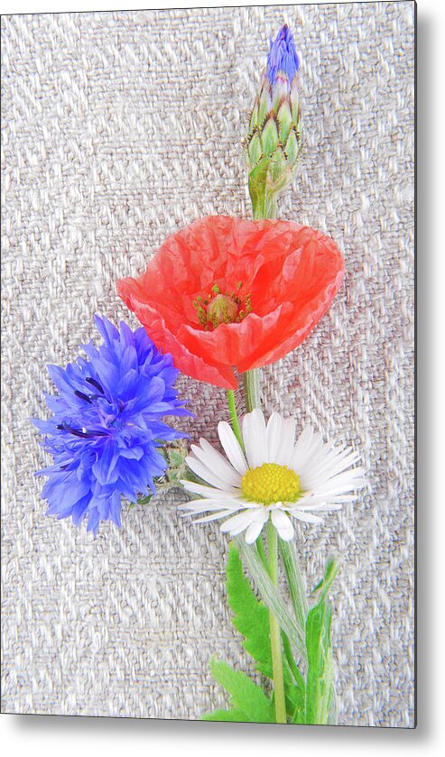 Rural Metal Print featuring the photograph Close Up Of The Poppy And Cornflower by Severija Kirilovaite