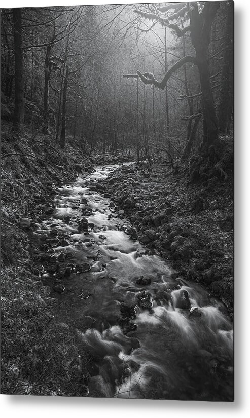 Monochrome Metal Print featuring the photograph Creek To Nowhere by Darren White