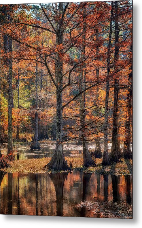 Autumn Metal Print featuring the photograph Cypress Cove Reflections by Susan Rissi Tregoning