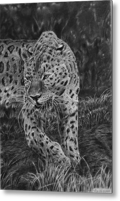 Leopard Metal Print featuring the drawing Dusk Prowl by Greg Fox