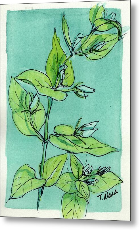 Just A Simple Drawing Of A Flowering Plant In Early Spring. Enjoy. Metal Print featuring the drawing Early Spring by Tammy Nara