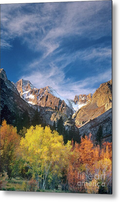 California Metal Print featuring the photograph Fall Color Below Middle Palisades Glacier Eastern Sierras California by Dave Welling