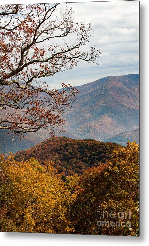 Blue Ridge Mountains Metal Print featuring the photograph Fall in the Mountains by Jayne Carney