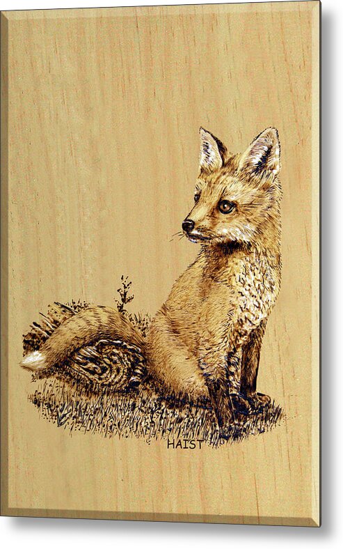 Fox Metal Print featuring the pyrography Fox Pup by R Murrey Haist