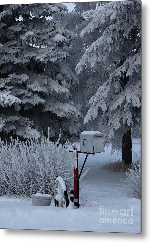 Mailbox Metal Print featuring the photograph Frosty mailbox by Lisa Mutch