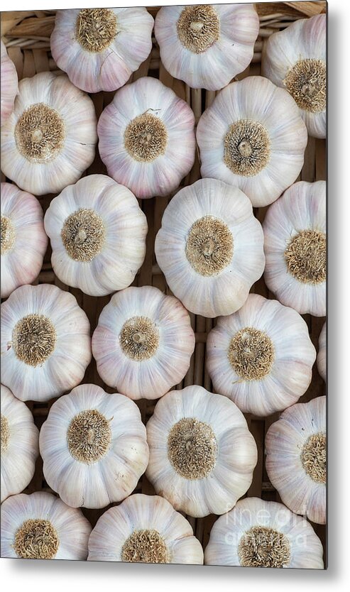Garlic Metal Print featuring the photograph Garlic Rose de Lautrec Bulbs by Tim Gainey