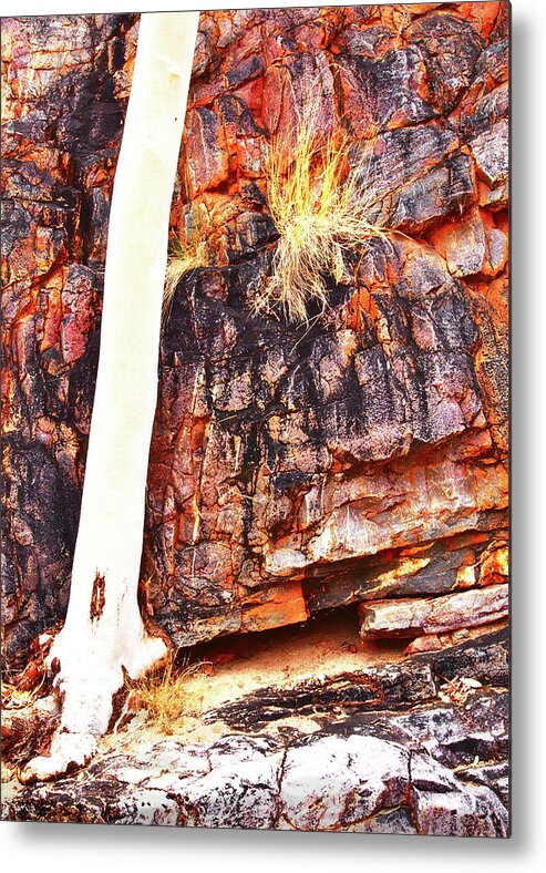 Australia Rocks Metal Print featuring the photograph Ghost Gum in the Gorge by Lexa Harpell