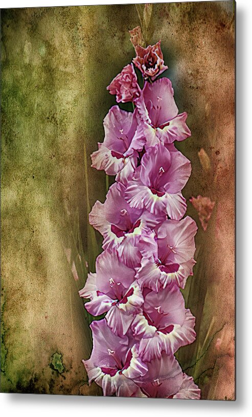 Gladiolus Metal Print featuring the photograph Gladiolus with Texture Overlay by Bill Barber