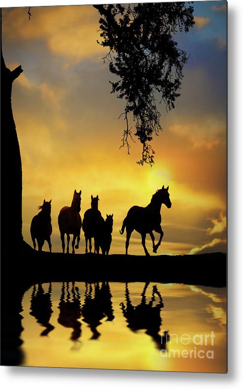 Horse Metal Print featuring the photograph Herd of Horses in Southwestern Colored Sunset Oak Tree Reflected in Pond of Water by Stephanie Laird