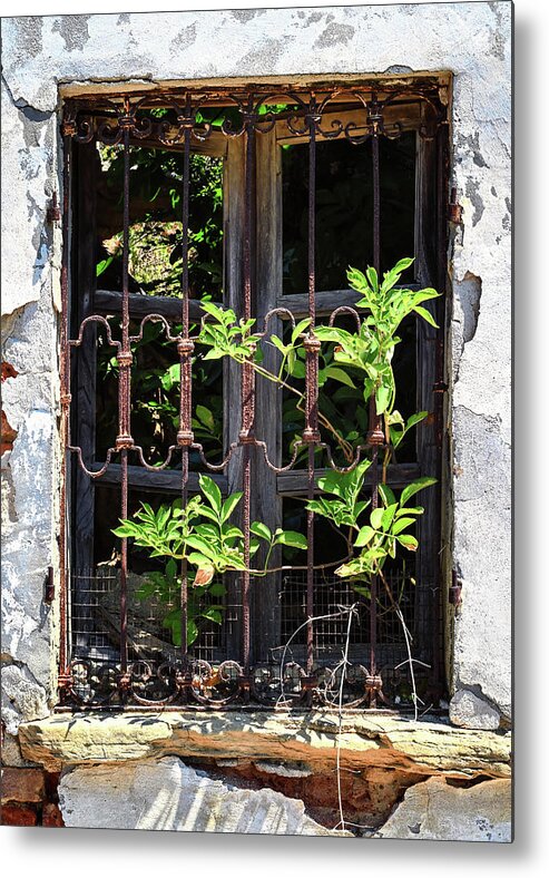 Ruin Metal Print featuring the photograph Inside Out by Steven Nelson