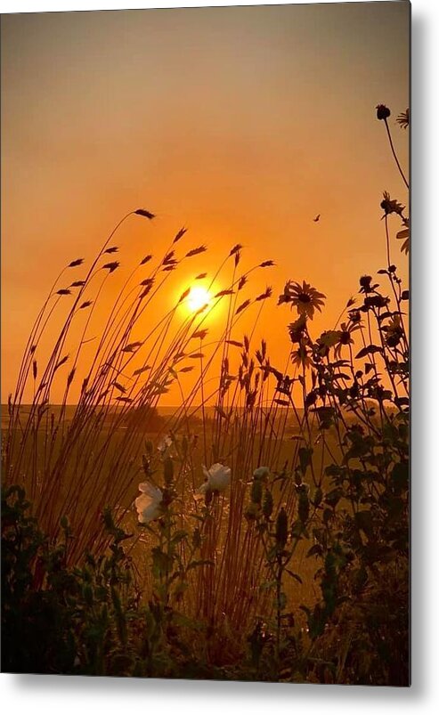 Iphonography Metal Print featuring the photograph IPhonography Sunset 2 by Julie Powell