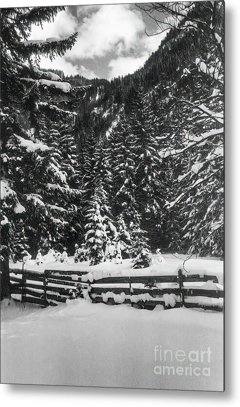 Leutasch Metal Print featuring the photograph Leutasch Snow Trail 2 by Bob Phillips