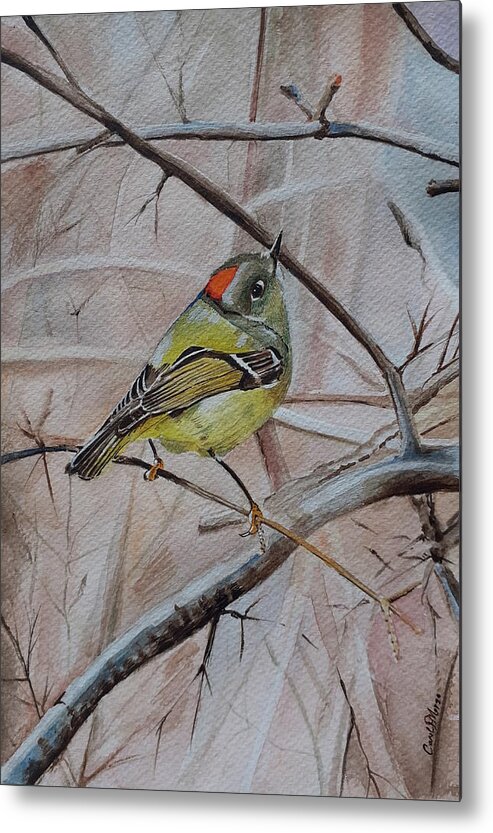 Bird Metal Print featuring the painting Little bird resting on a branch by Carolina Prieto Moreno