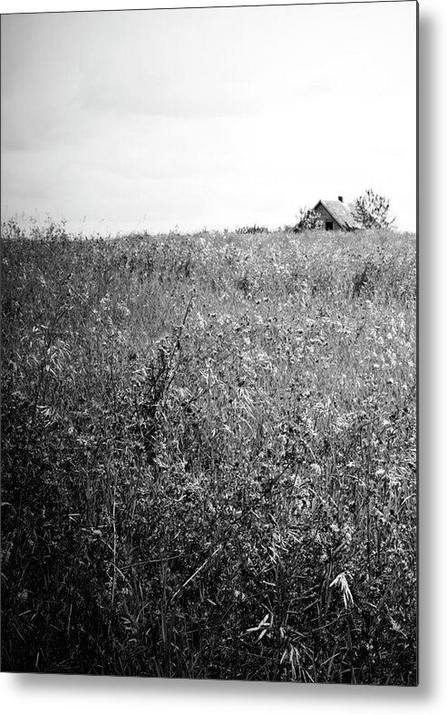 Barn Metal Print featuring the photograph Little Songs by J C