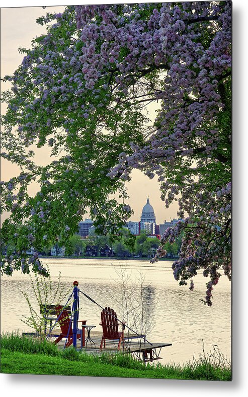Monona Metal Print featuring the photograph Magnificent Monona Bay Morning - Wisconsin capitol with flowering cherry at Lake Monona by Peter Herman