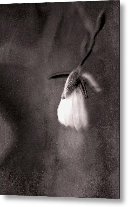 Melancholy Metal Print featuring the photograph Melancholy by Susan Maxwell Schmidt