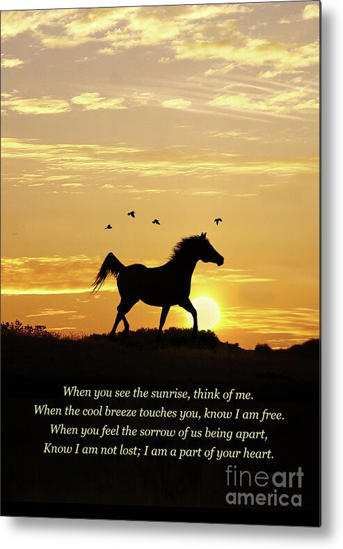 Memorial Metal Print featuring the photograph Memorial Tribute Spiritual Poem with Horse and Birds by Stephanie Laird