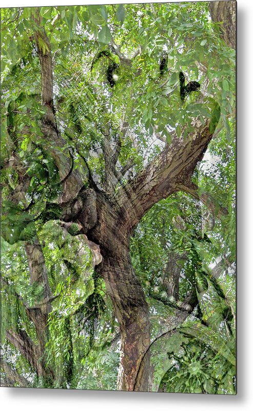 Mother Nature Metal Print featuring the photograph Mother Nature in Green by Marilyn MacCrakin